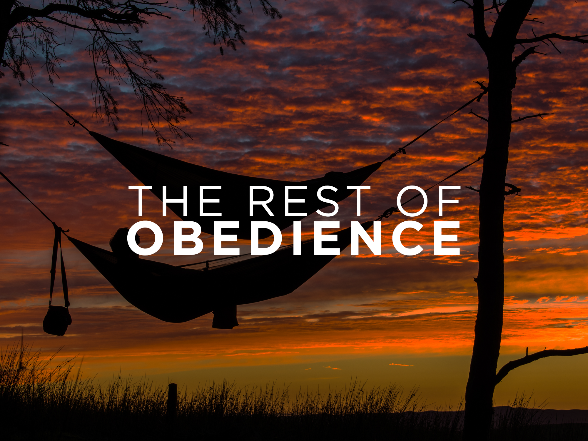 The Rest of Obedience