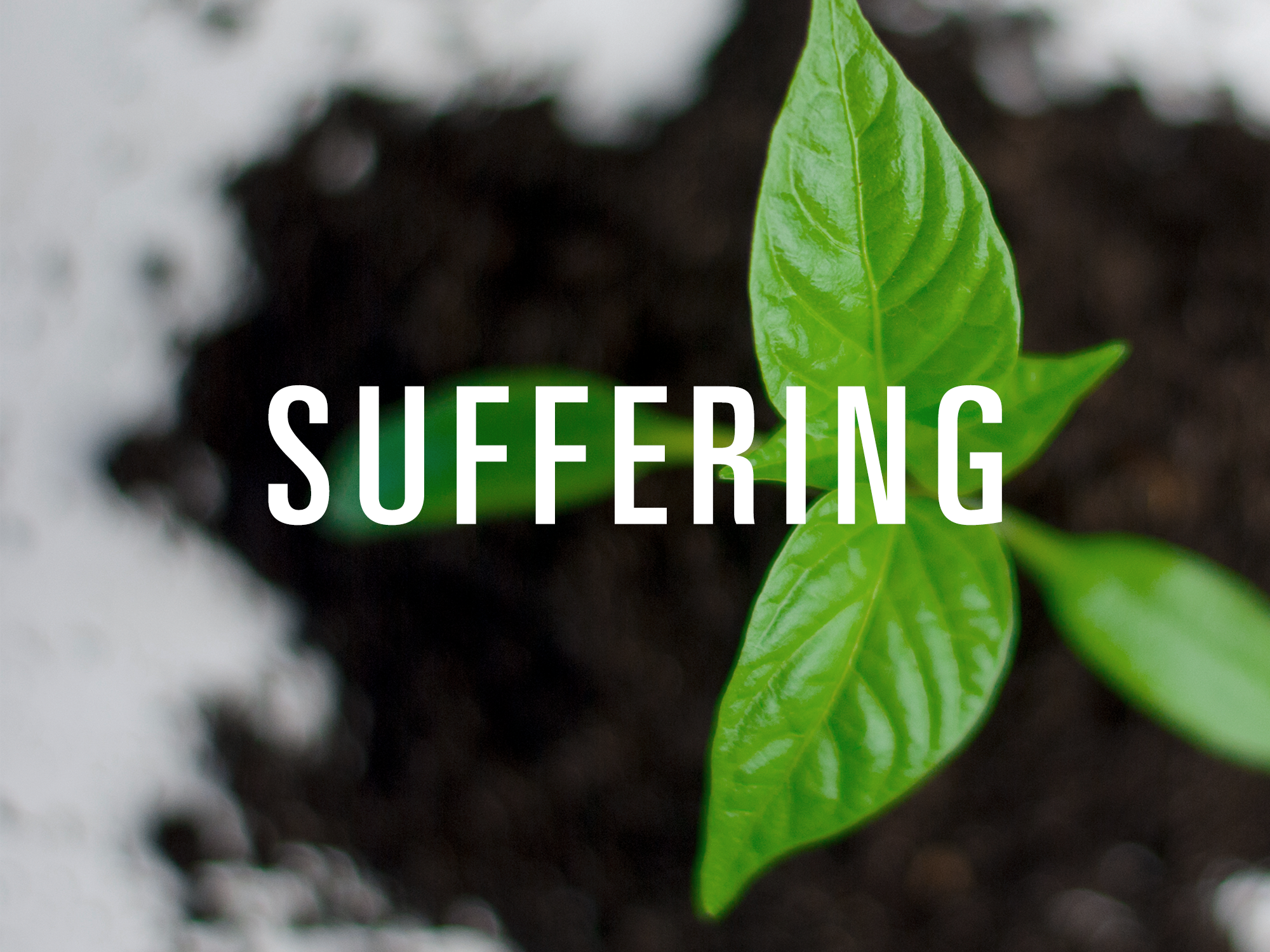 Suffering