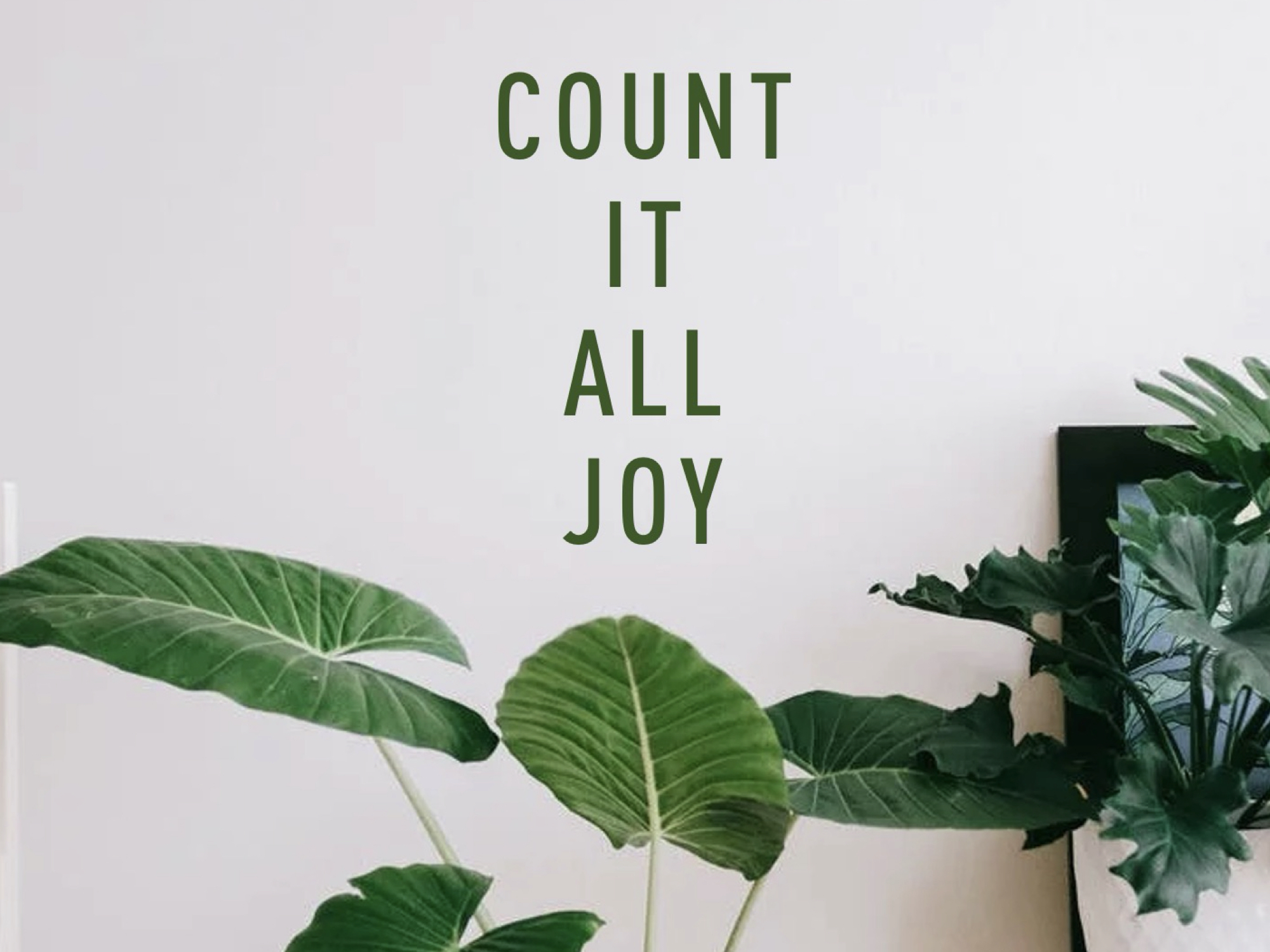 Count It All Joy.001