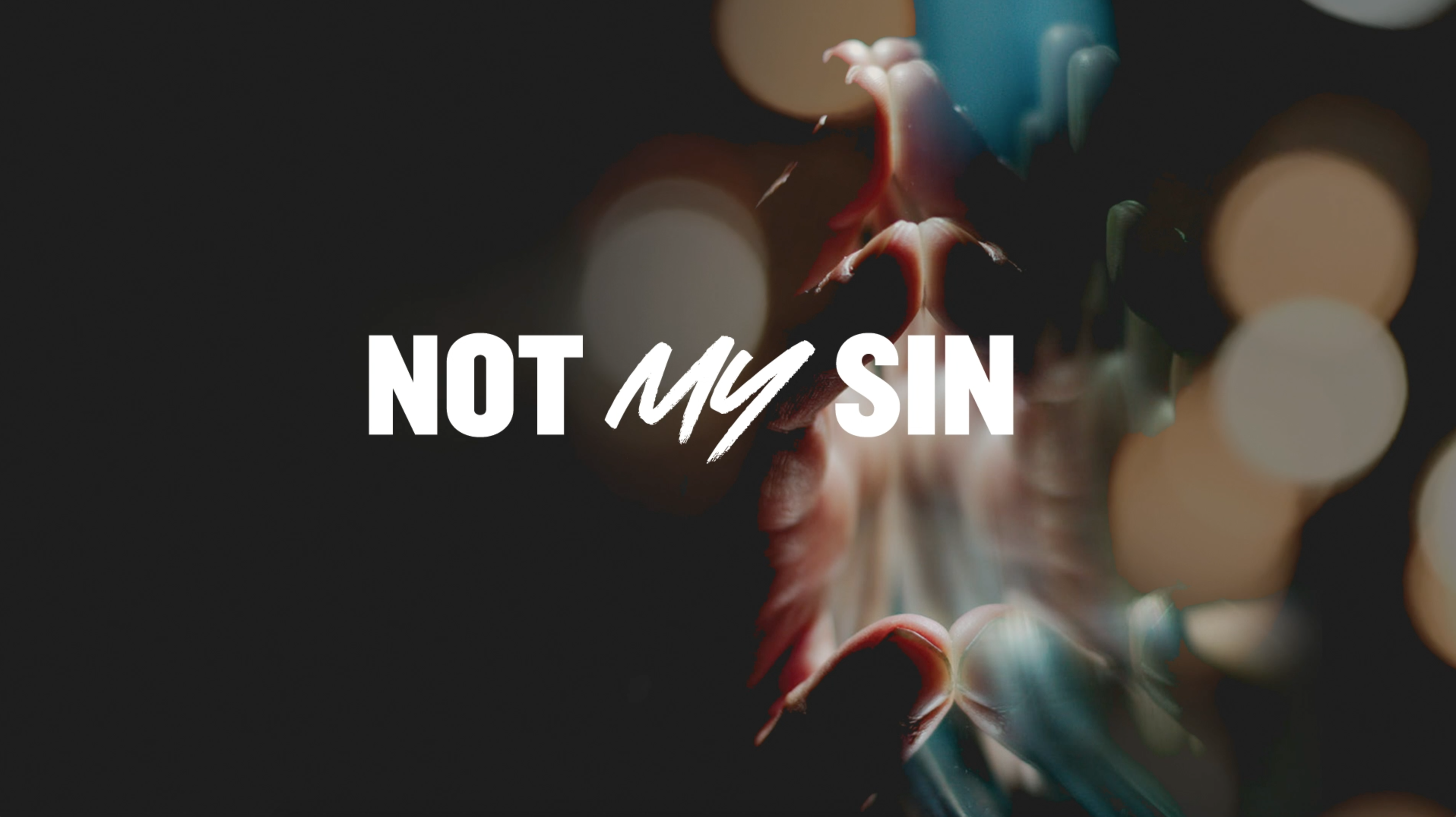 Not My Sin